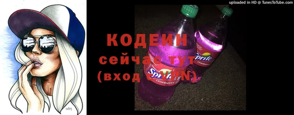 соль ск Ладушкин