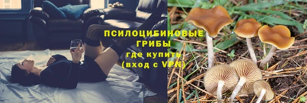 герыч Пестово