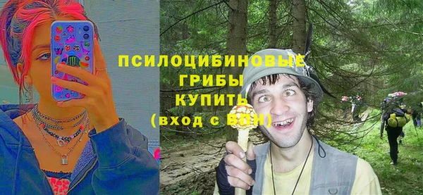 герыч Пестово