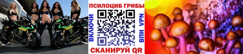 Псилоцибиновые грибы Psilocybine cubensis  Островной 